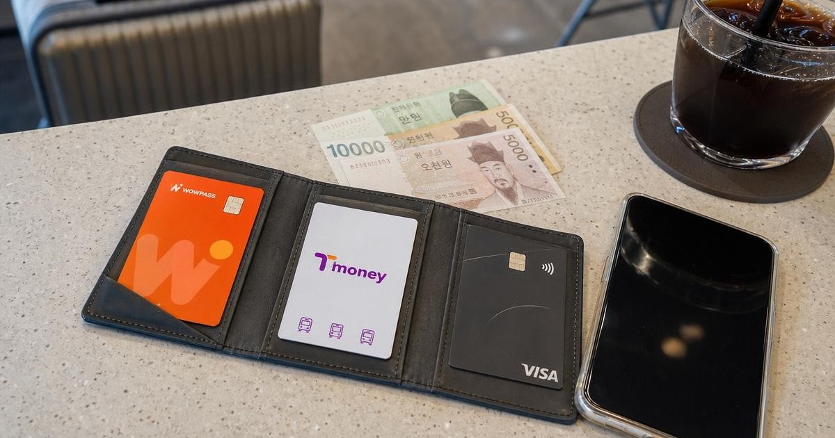 WOWPASS visitor card, Tmoney transit card, generic credit card, and Korean won cash in a travel wallet