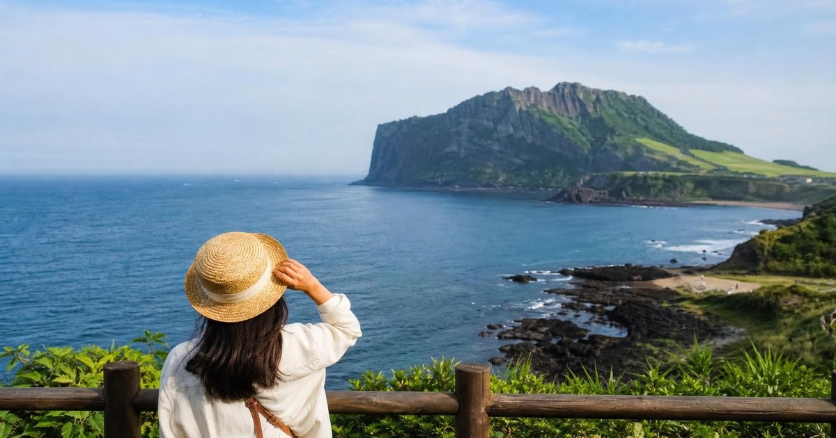 Traveler looking at a Jeju coastal volcanic landscape with ocean and green cliffs.