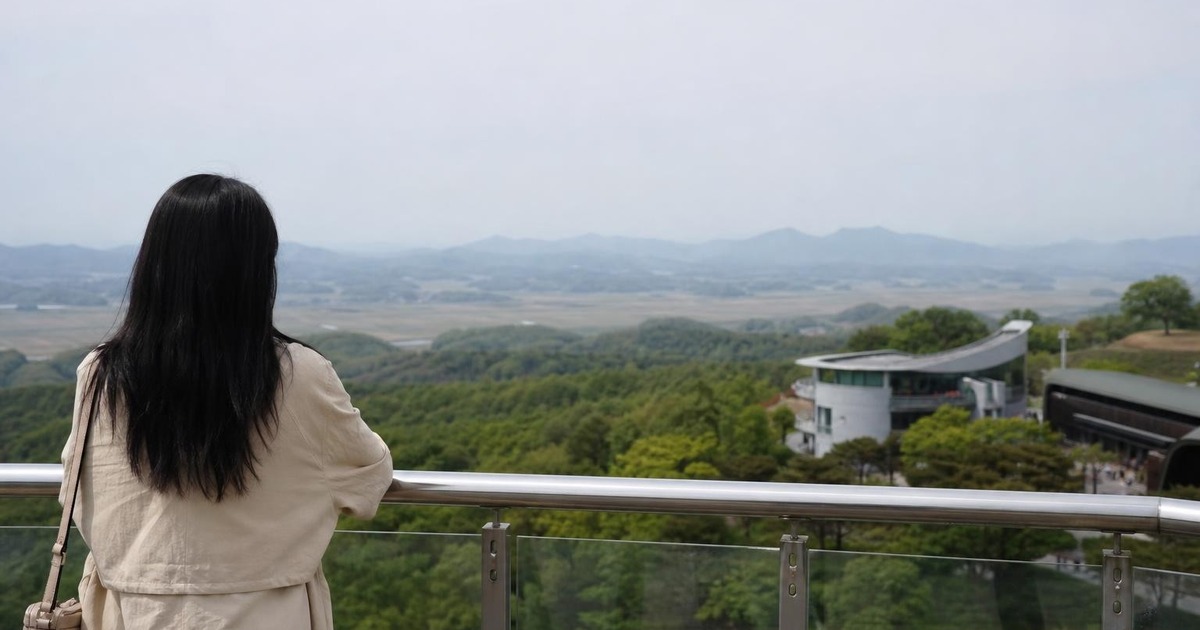 Traveler viewing a quiet DMZ observatory landscape from a safe public viewing area.